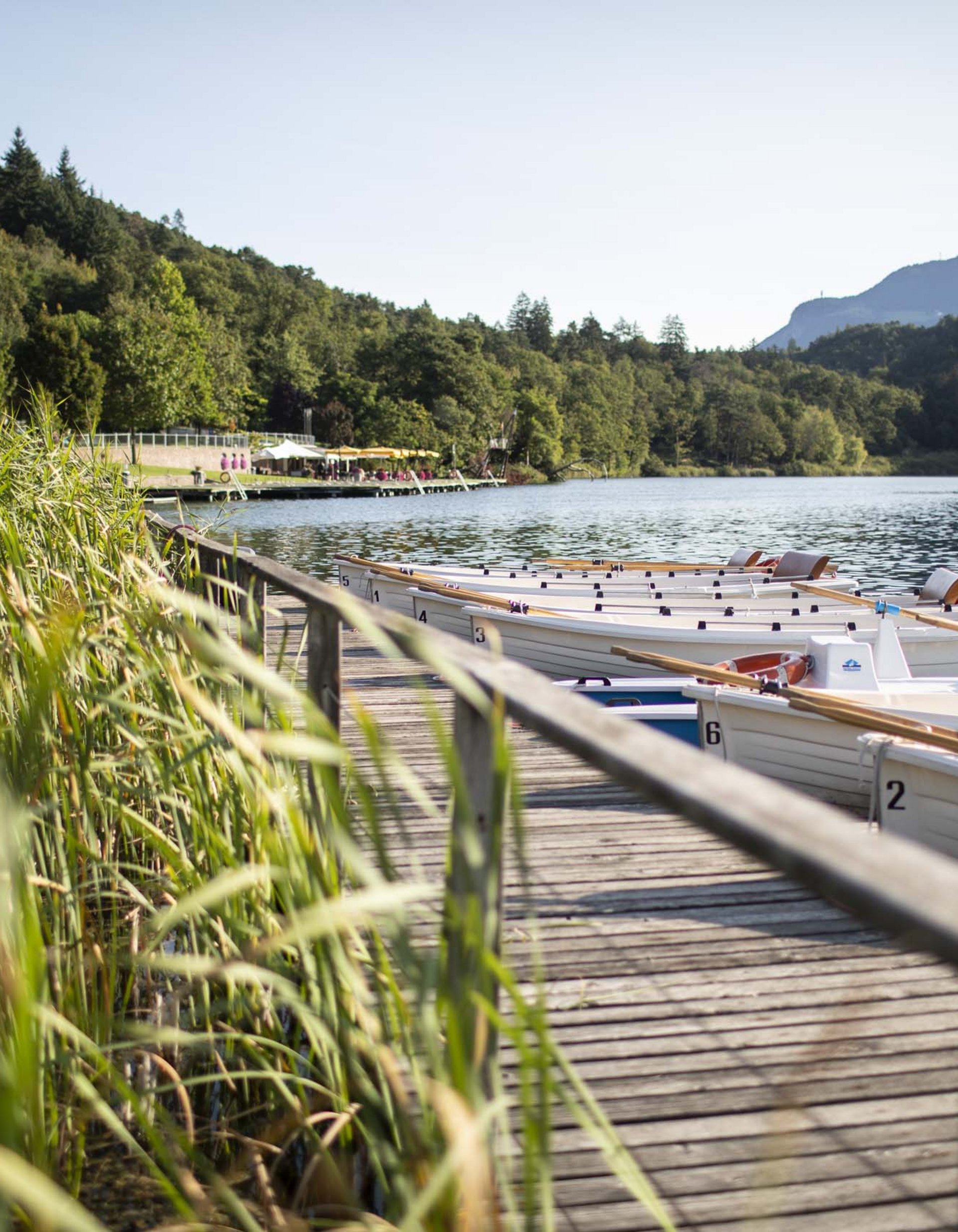 Lingers’ best snapshots Rowboats docked at a pier on a lake with mountains and forest in the background