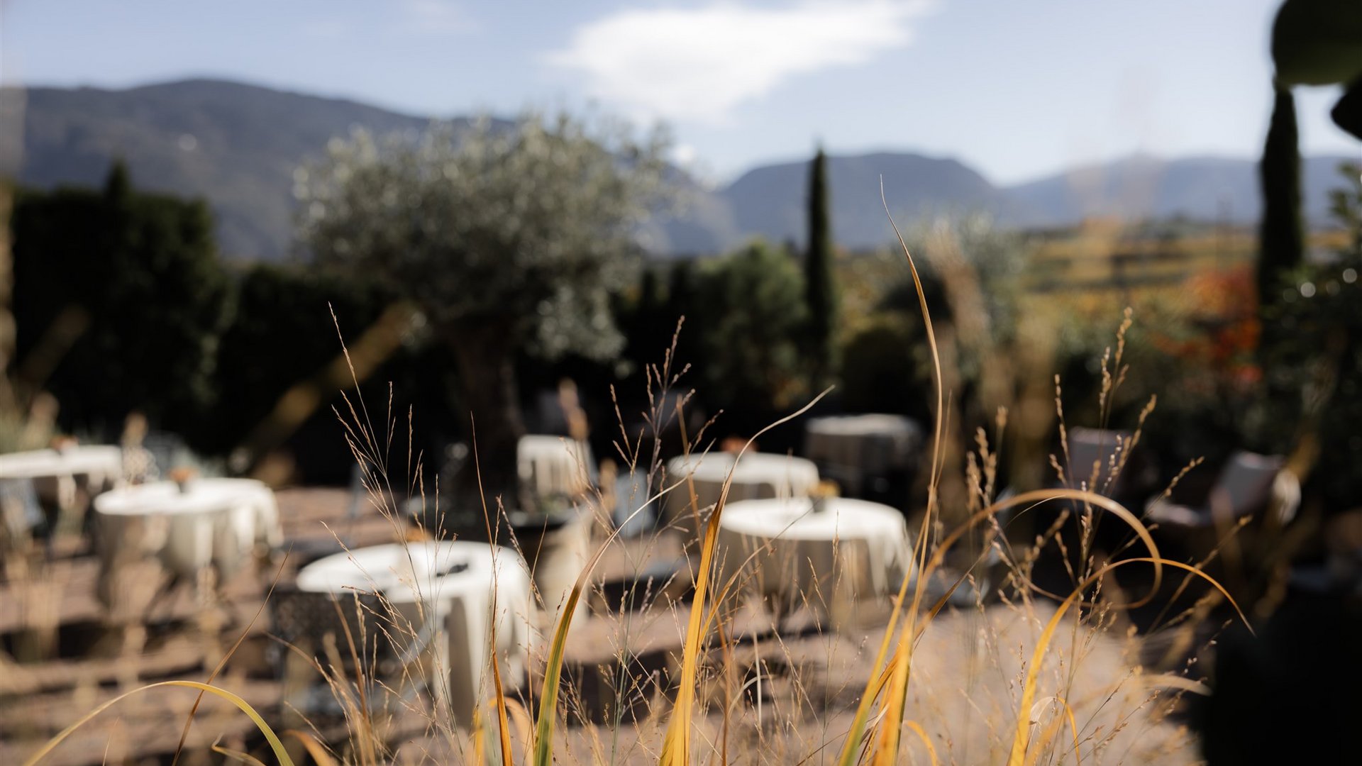Lingers – Ihr Hotel in Girlan Blick durch hohes Gras auf eine Terrasse mit Tischen und Bergen im Hintergrund