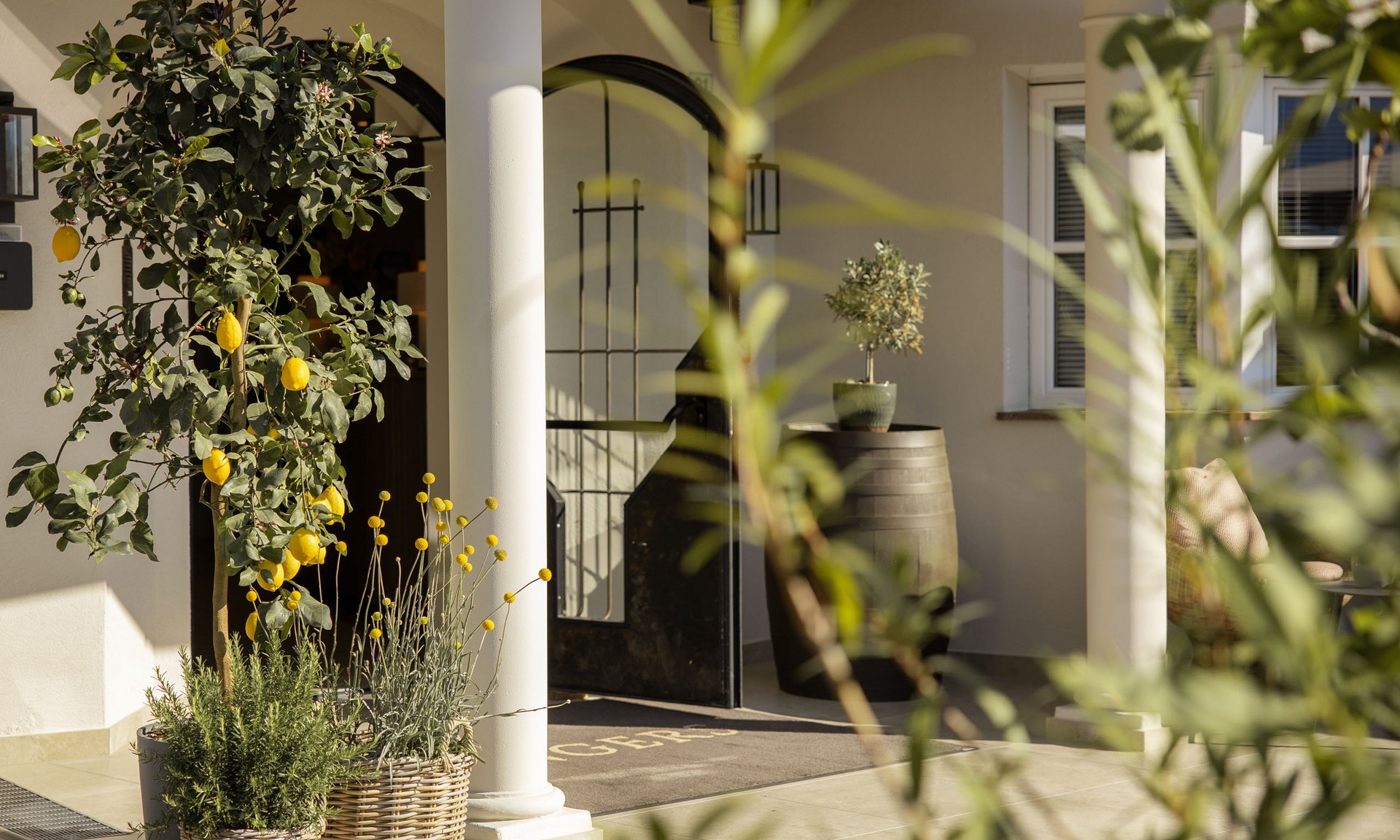 Lingers’ best snapshots Entrance with flowering plants and lemons in baskets by columns