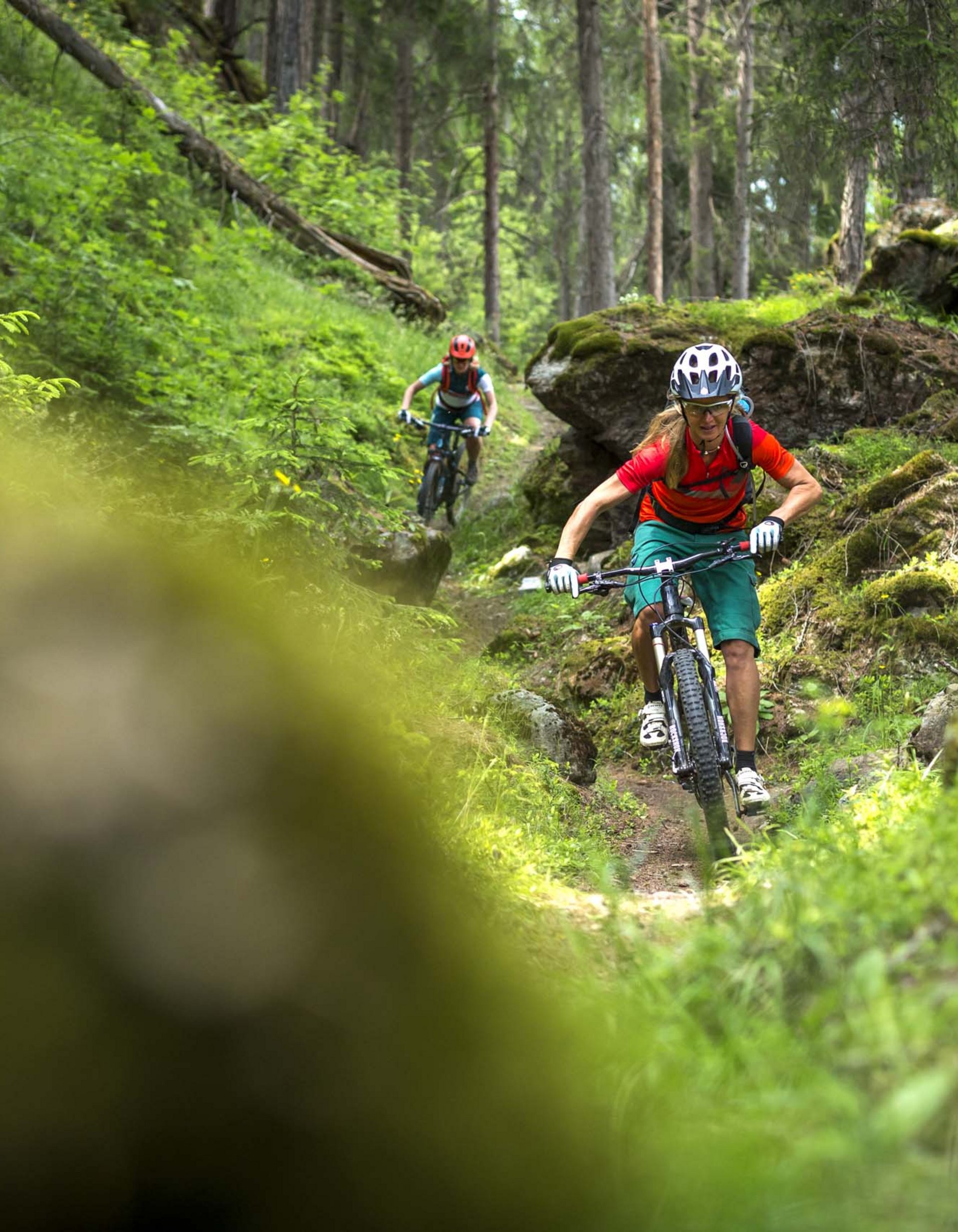 Lingers’ best snapshots Two mountain bikers riding on a forest trail among trees and rocks