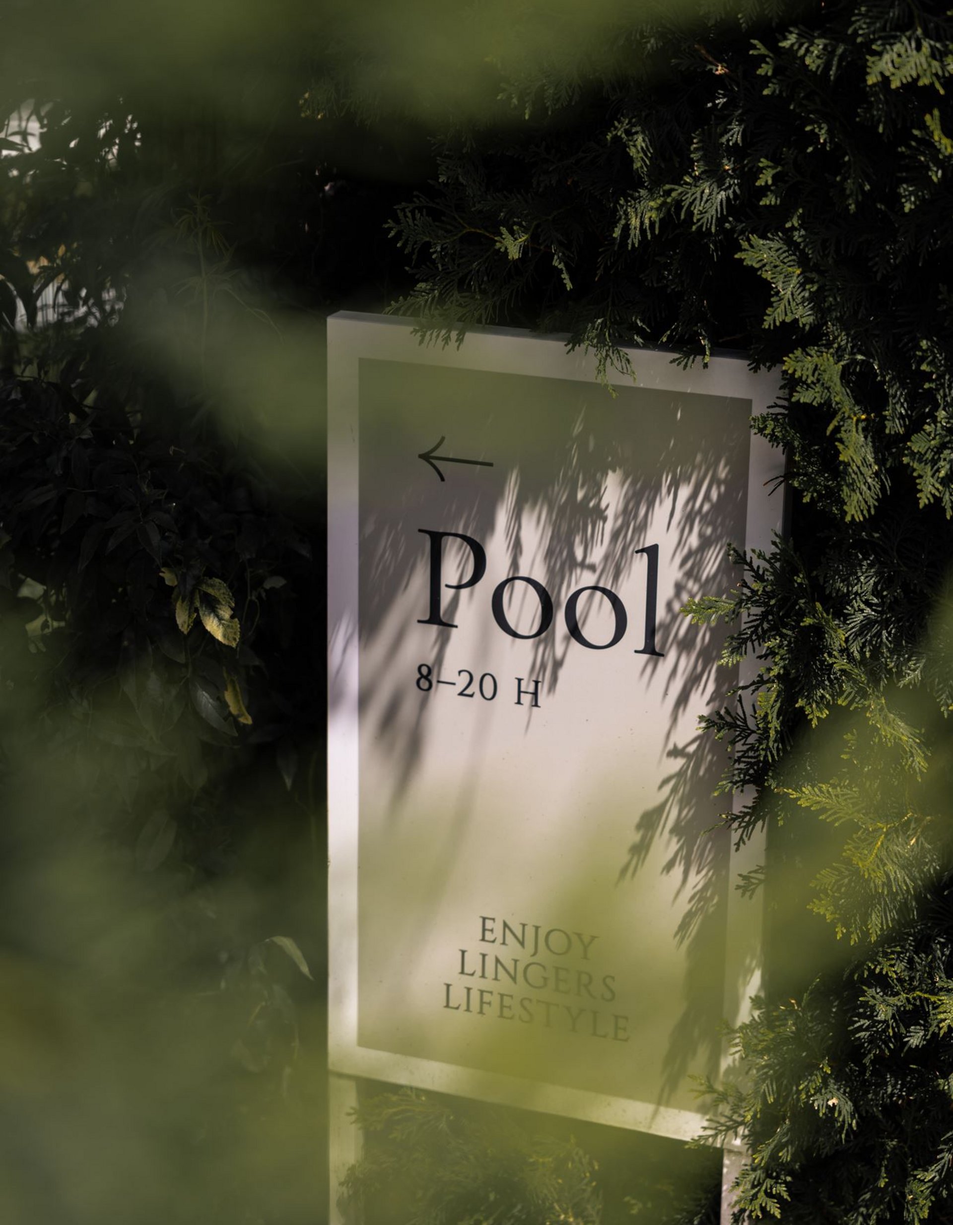 Lingers’ best snapshots Sign showing pool hours 8-20, surrounded by green foliage