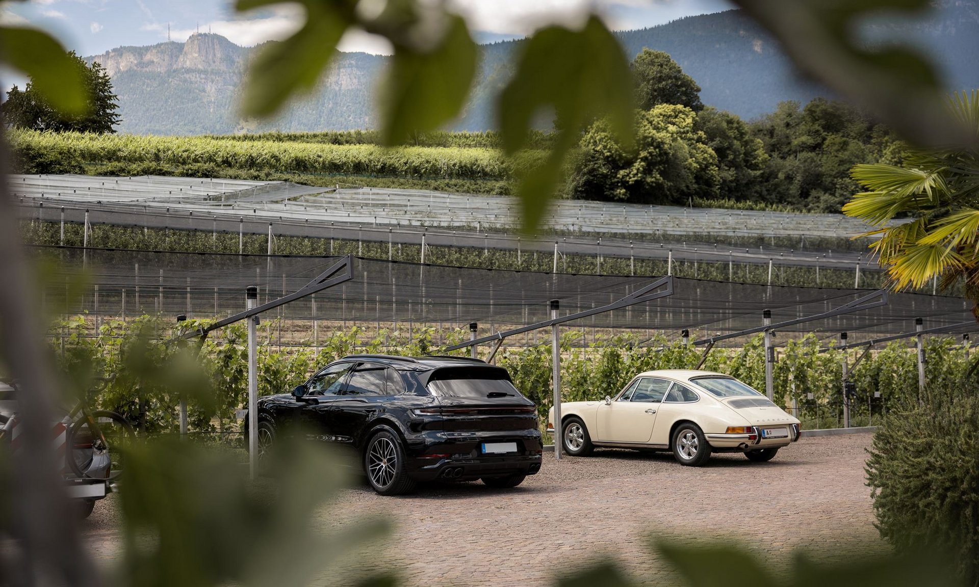 Lingers’ best snapshots Two cars parked with vineyards and mountains in the background