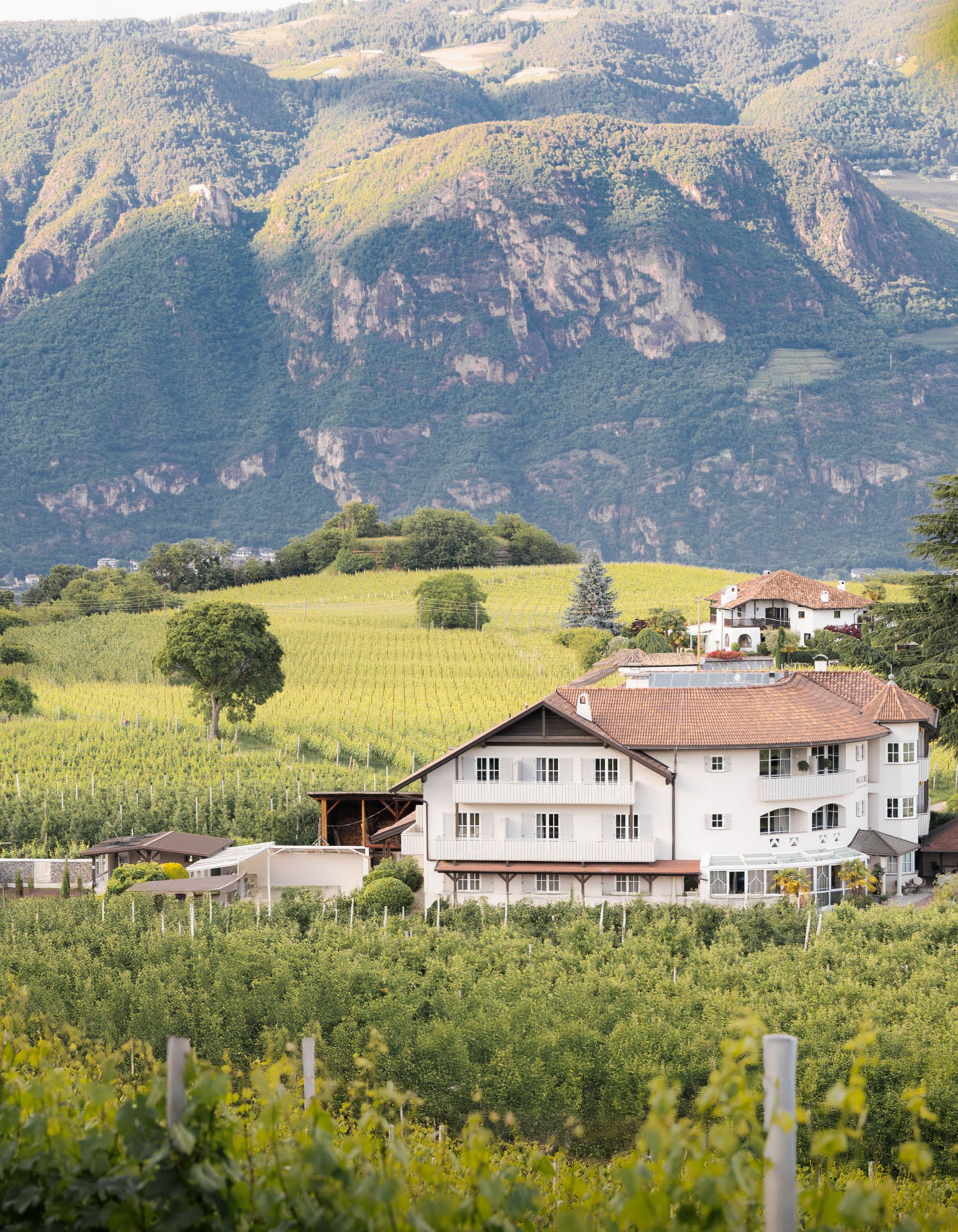 Lingers’ best snapshots Winery in green hilly landscape with forested mountains in background