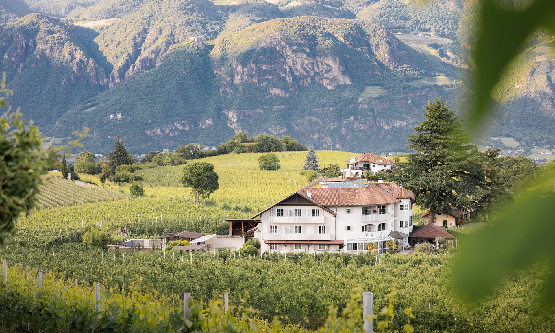 Lingers’ best snapshots Winery in green hilly landscape with forested mountains in background