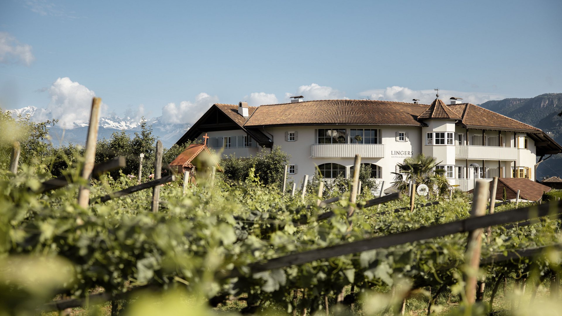 Lingers – Ihr Hotel in Girlan Weingut mit Reben im Vordergrund und Bergen im Hintergrund bei klarem Himmel