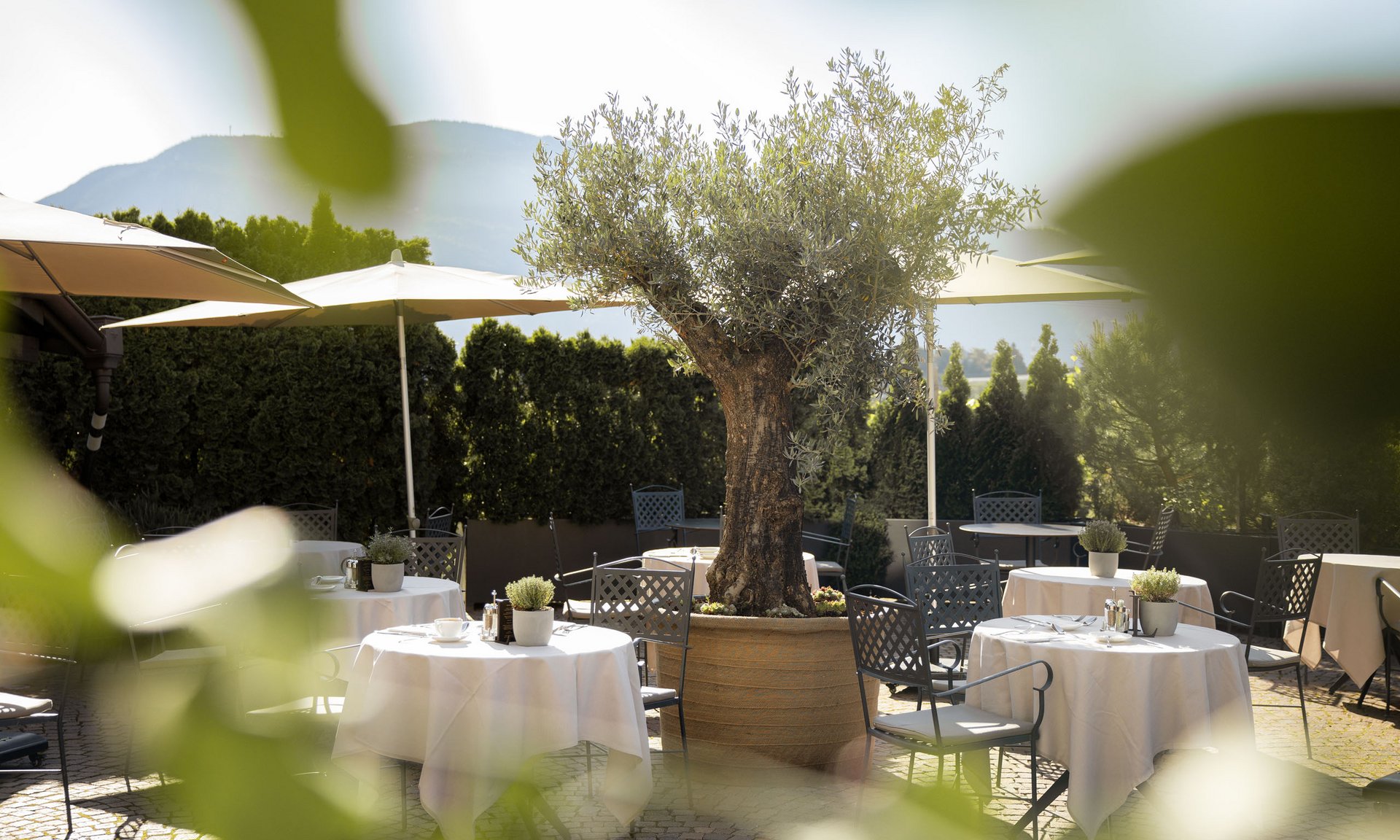 Lingers’ best snapshots Sunny outdoor terrace with tables, chairs, and large umbrellas